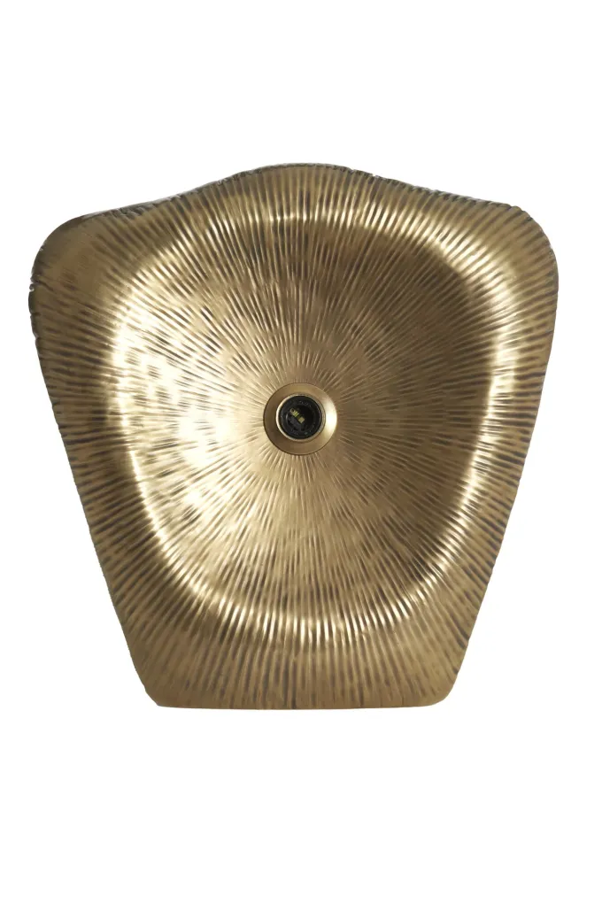 Light en Living Wandlamp 51x9x51 cm AMADI antiek brons