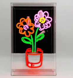 Locomocean Flowers In Pot Neon Box