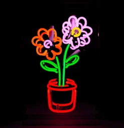 Locomocean Flowers In Pot Neon Box