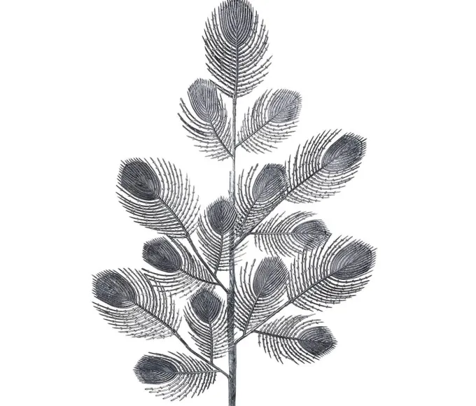 Parlane Ornament 10x2x76 cm PEACOCK FEATHER platinum