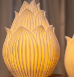PTMD Aveda Wit Lotus hoog LED-lamp oplaadbaar