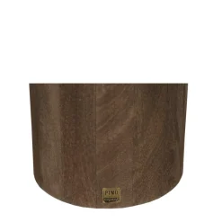 PTMD Bijzettafel Liora Bruin met mangohouten blad