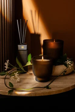 PTMD Geurkaars New Elements Woody Bouquet L - PTMD