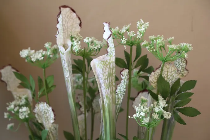PTMD Groene planten in glazen vaas