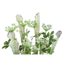 PTMD Groene planten in glazen vaas