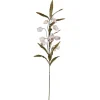PTMD Kunstbloem Sandersonia Creme