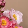 PTMD Kunsttak bosje Roze klaproosbundel met knoppen