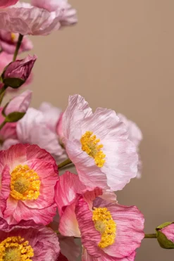 PTMD Kunsttak bosje Roze klaproosbundel met knoppen