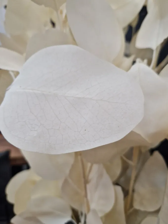 PTMD Kunsttak Leaves Plant eucalyptus creme