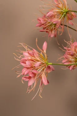PTMD Kunsttak Pink Spider