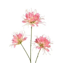 PTMD Kunsttak Pink Spider