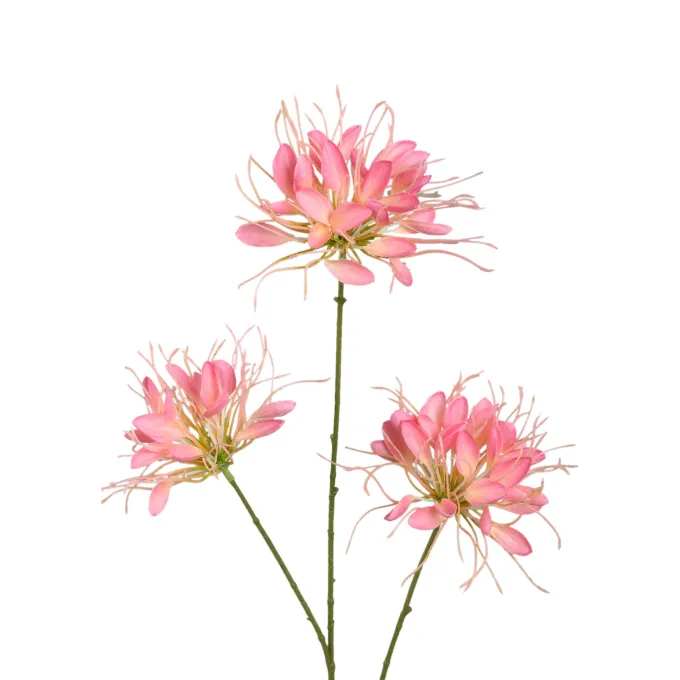 PTMD Kunsttak Pink Spider