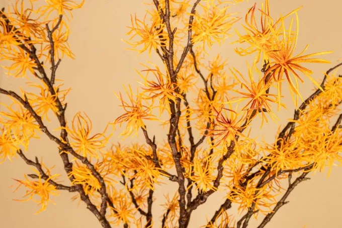 PTMD KunsttakTwig Plant hamamelis geel - oranje