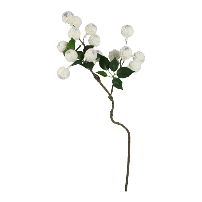 PTMD Kunsttak Twig Wit Xylia fruit