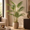 PTMD Palmboom groen in zwarte plastic pot - 148 cm hoog