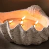 PTMD Pearl Candle Wax 500 gram beige + Candle Wax wick box