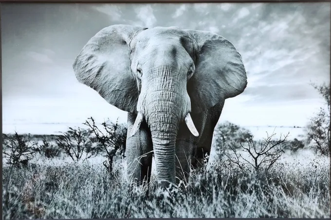 PTMD Schilderij Melani Glass Art Olifant Groot - Glaskunst