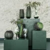 PTMD Vaas Naima Sage glas organisch type C