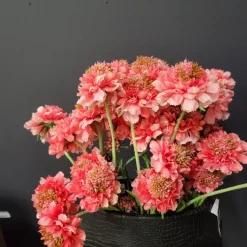 Pure Kunsttak Duifkruid 66 cm roze