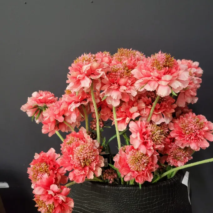 Pure Kunsttak Duifkruid 66 cm roze