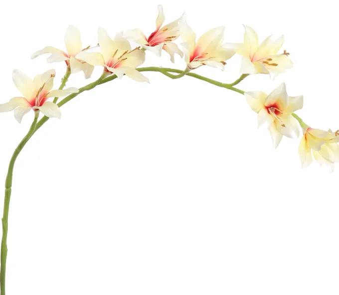 Pure Kunsttak zwaardlelie crème 95 cm