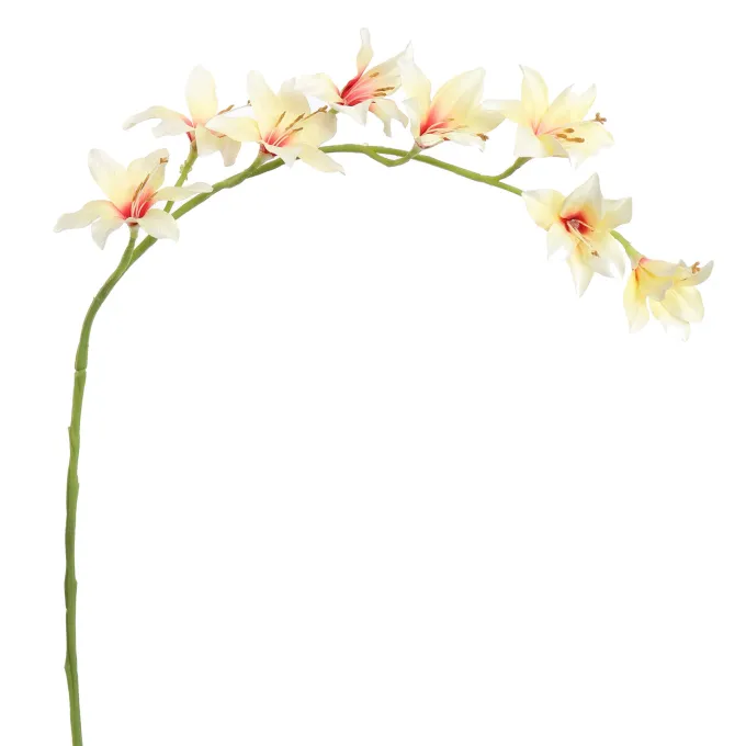 Pure Kunsttak zwaardlelie crème 95 cm