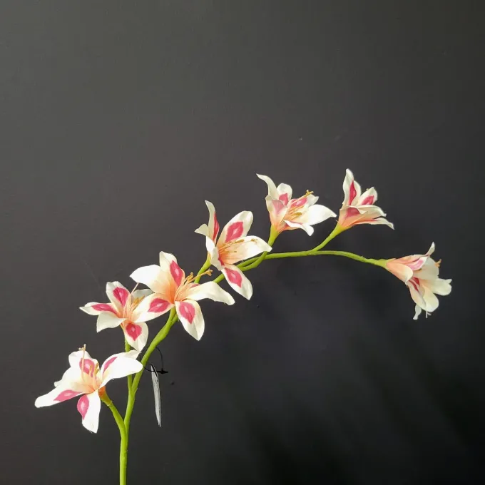 Pure Kunsttak zwaardlelie peach 95 cm