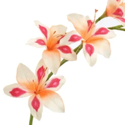Pure Kunsttak zwaardlelie peach 95 cm