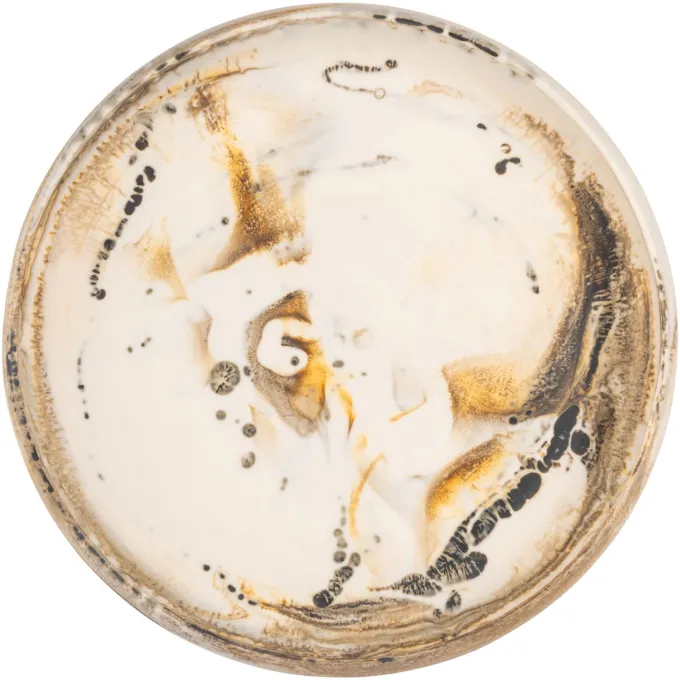 Richmond Interiors Schaal Daisy beige