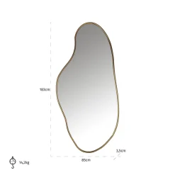 Richmond Interiors Spiegel Alton (Brushed Gold)