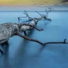 Wandkraft Art of Nature 041