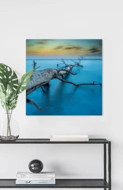 Wandkraft Art of Nature 041