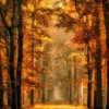 Wandkraft Art of Nature 033 - Limited edition