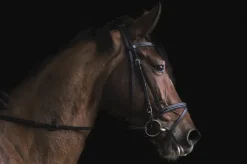 Wandkraft At the Farm 001