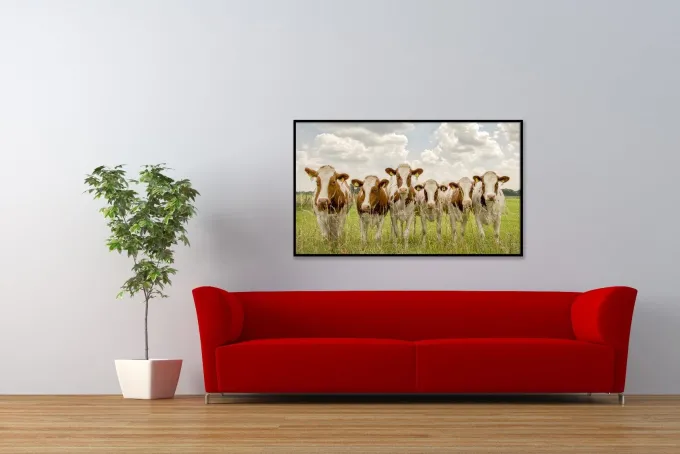 Wandkraft Curious Cows