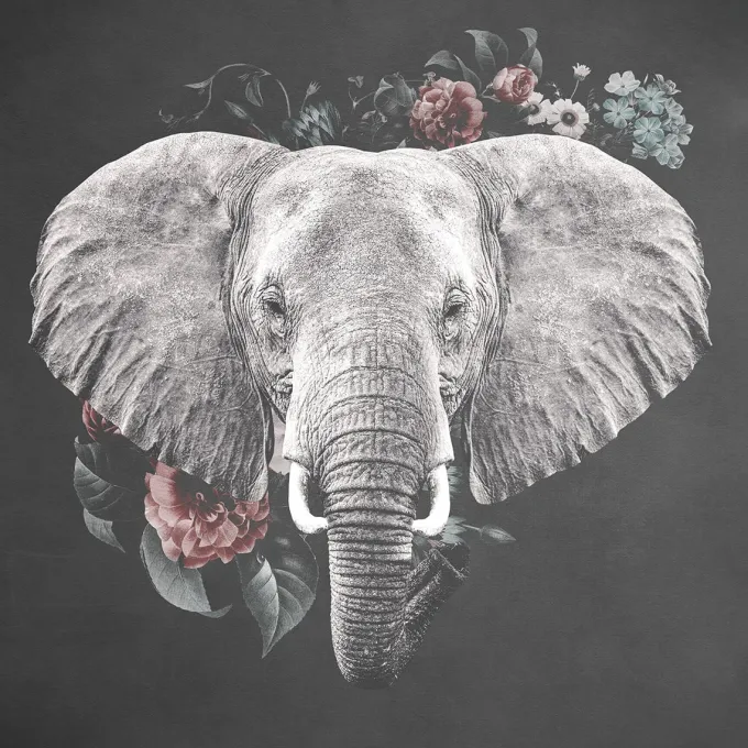 Wandkraft Elephant with Flowers - 74 x 74 cm