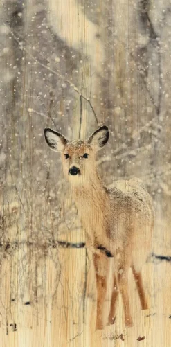 Wandkraft European Wildlife 007