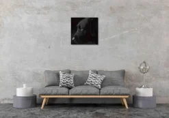 Wandkraft Faces 017