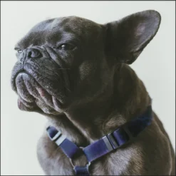 Wandkraft Faces 003