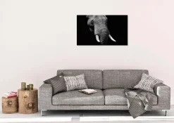 Wandkraft Faces 023 - Faces 74 x 74 cm