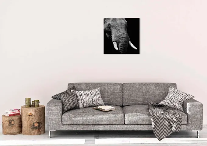 Wandkraft Faces 023 - Faces 74 x 74 cm