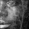 Wandkraft Reminiscence