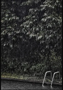 Wandkraft Swimming Pool in Rainforest