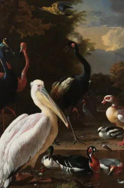 Wandkraft The floating feather by Melchior d'Hondecoeter