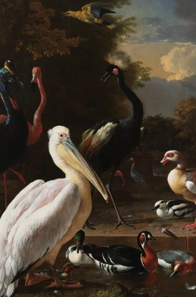 Wandkraft The floating feather by Melchior d'Hondecoeter