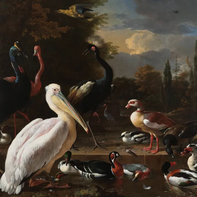 Wandkraft The floating feather by Melchior d'Hondecoeter