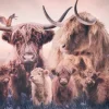 Wandkraft The Highlander Family