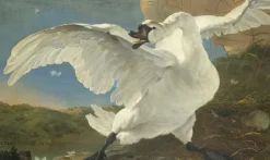 Wandkraft The Threatened Swan by Jan Asselijn