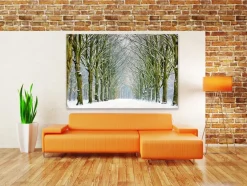 Wandkraft Tunnel of Trees