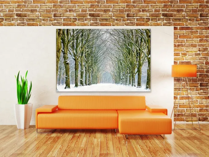 Wandkraft Tunnel of Trees